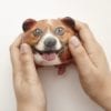 Feeling Ruff? Stress Balls - Image 2