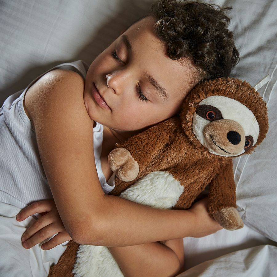 intelex warmies sloth
