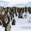 Little People Big Dreams: David Attenborough - Image 4