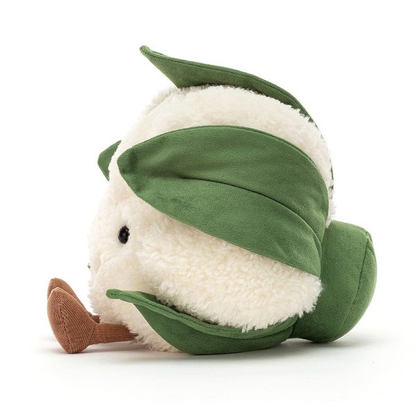 Amuseable Cauliflower - Image 2