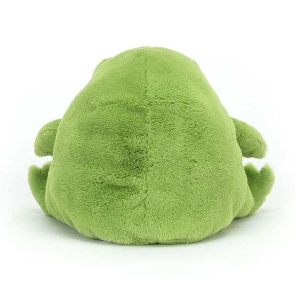 Ricky Rain Frog - Image 3