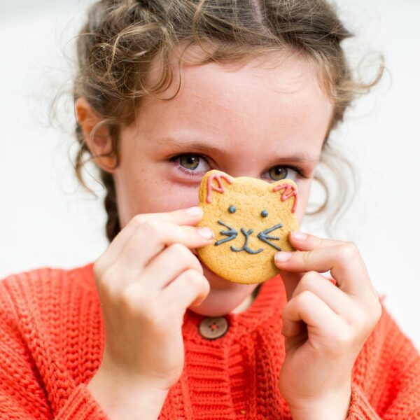 Cool Cats Bake & Craft Kit - Image 4