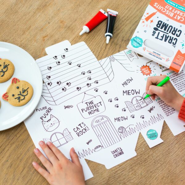 Cool Cats Bake & Craft Kit - Image 5
