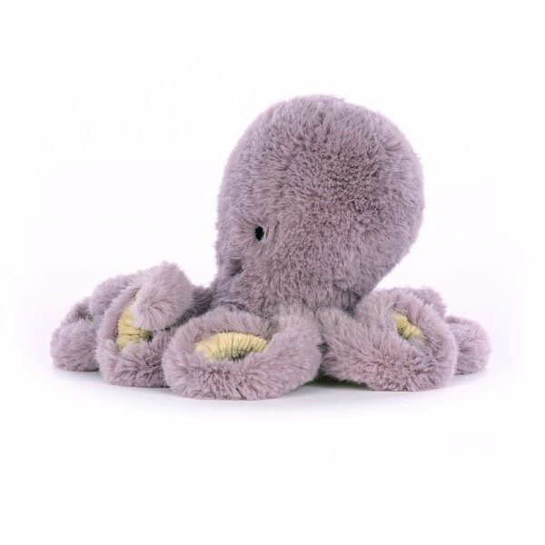 Maya Octopus Baby - Image 2