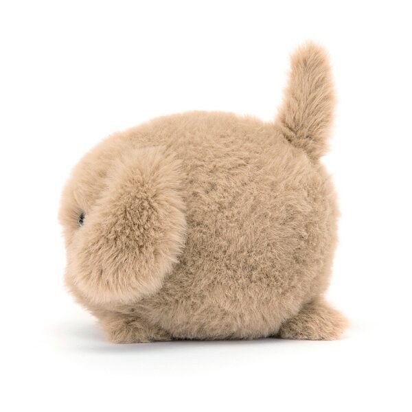Caboodle Puppy - Image 2