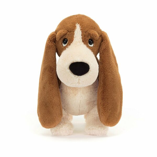 Randall Basset Hound - Image 3