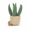Amuseable Aloe Vera Small - Image 2