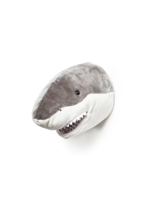Jack The Shark Wall Head