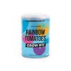 Rainbow Tomato Grow Tin - Image 2