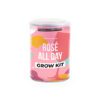 Rosé All Day Grow Tin - Image 2