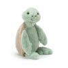 Bashful Turtle Little