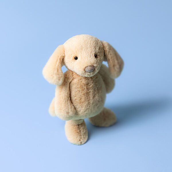 Bashful Luxe Puppy Orlando Original - Image 2