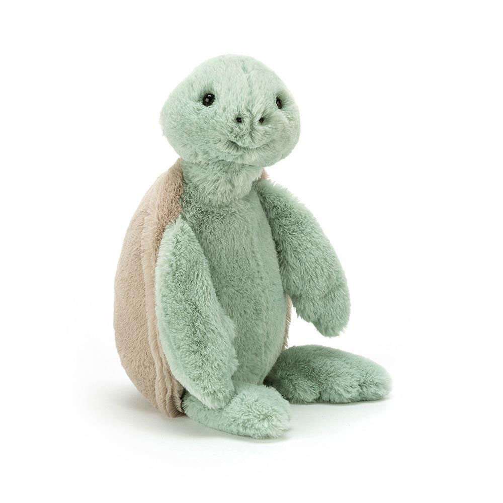 Bashful Turtle Little
