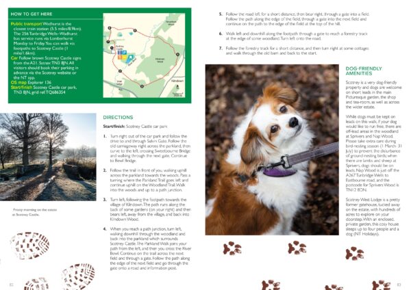 Great British Walkies - Image 4