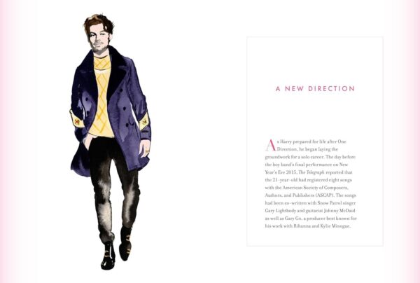 Harry Styles Is Life: A Superfan's Guide - Image 4