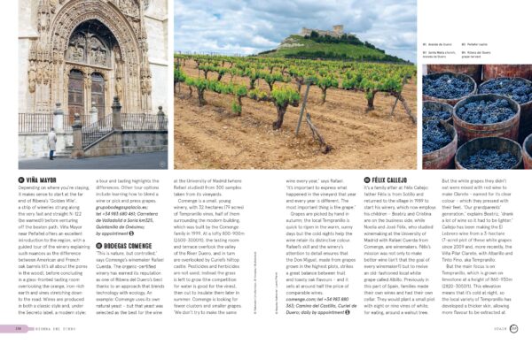 Lonely Planet Wine Trails - Image 5