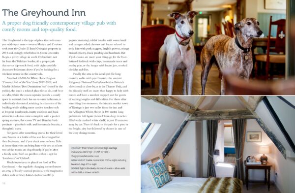 Dog Friendly Britain - Image 3