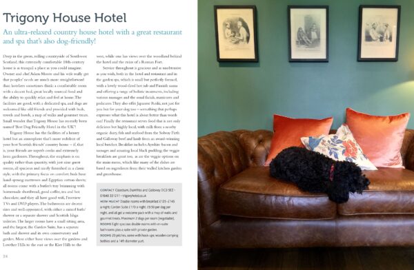 Dog Friendly Britain - Image 4