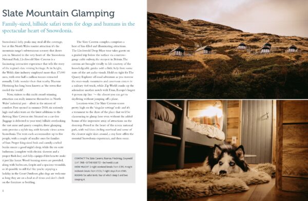 Dog Friendly Britain - Image 5
