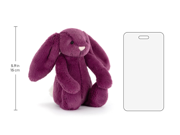 Bashful Allium Bunny Little - Image 5