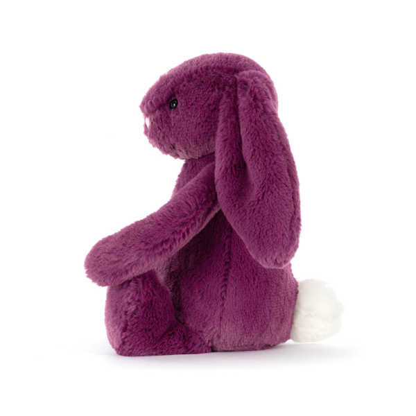 Bashful Allium Bunny Little - Image 2