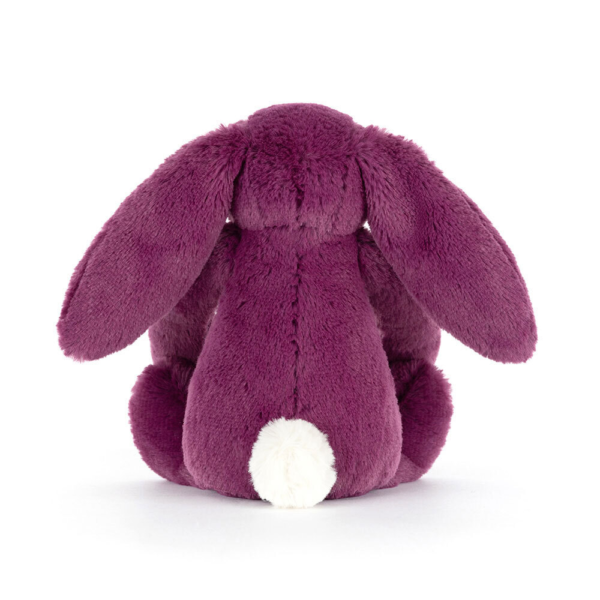 Bashful Allium Bunny Little - Image 3