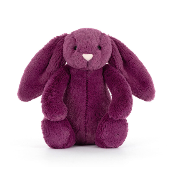 Bashful Allium Bunny Little - Image 4