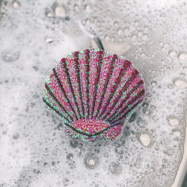 Seashell Scrub Sponges - Image 5