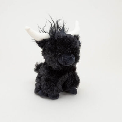 Black Longhorn Mini Coo