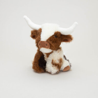 Texas Longhorn Mini Coo