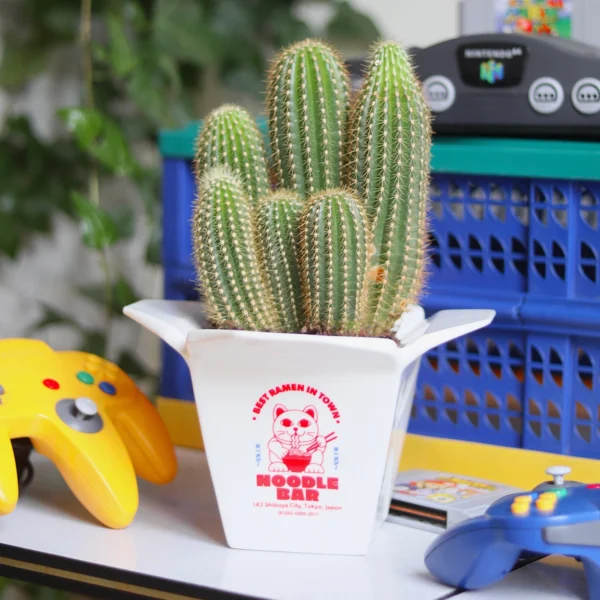 Ramen Vase - Image 3