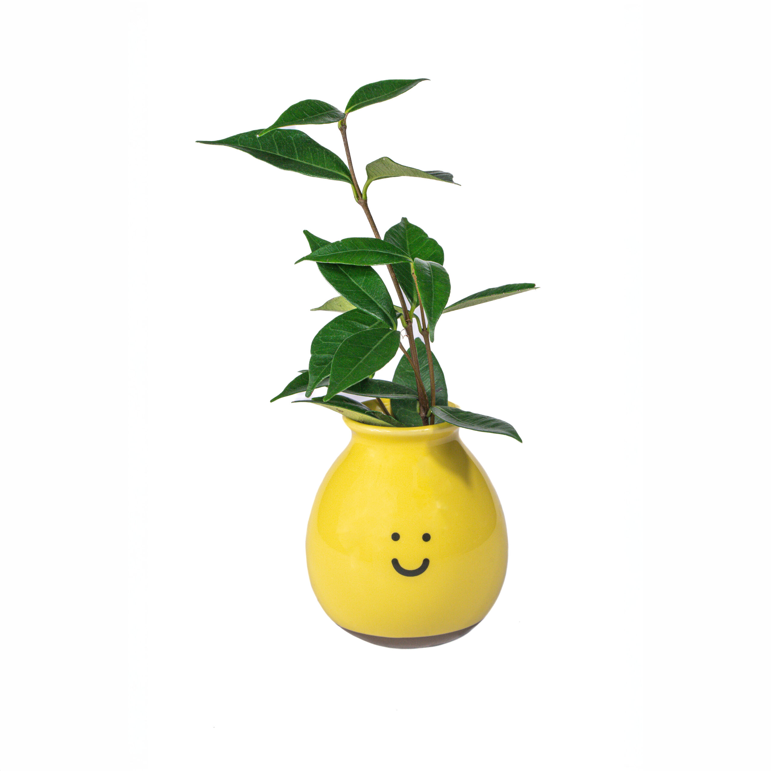 Happy Vase - Image 2