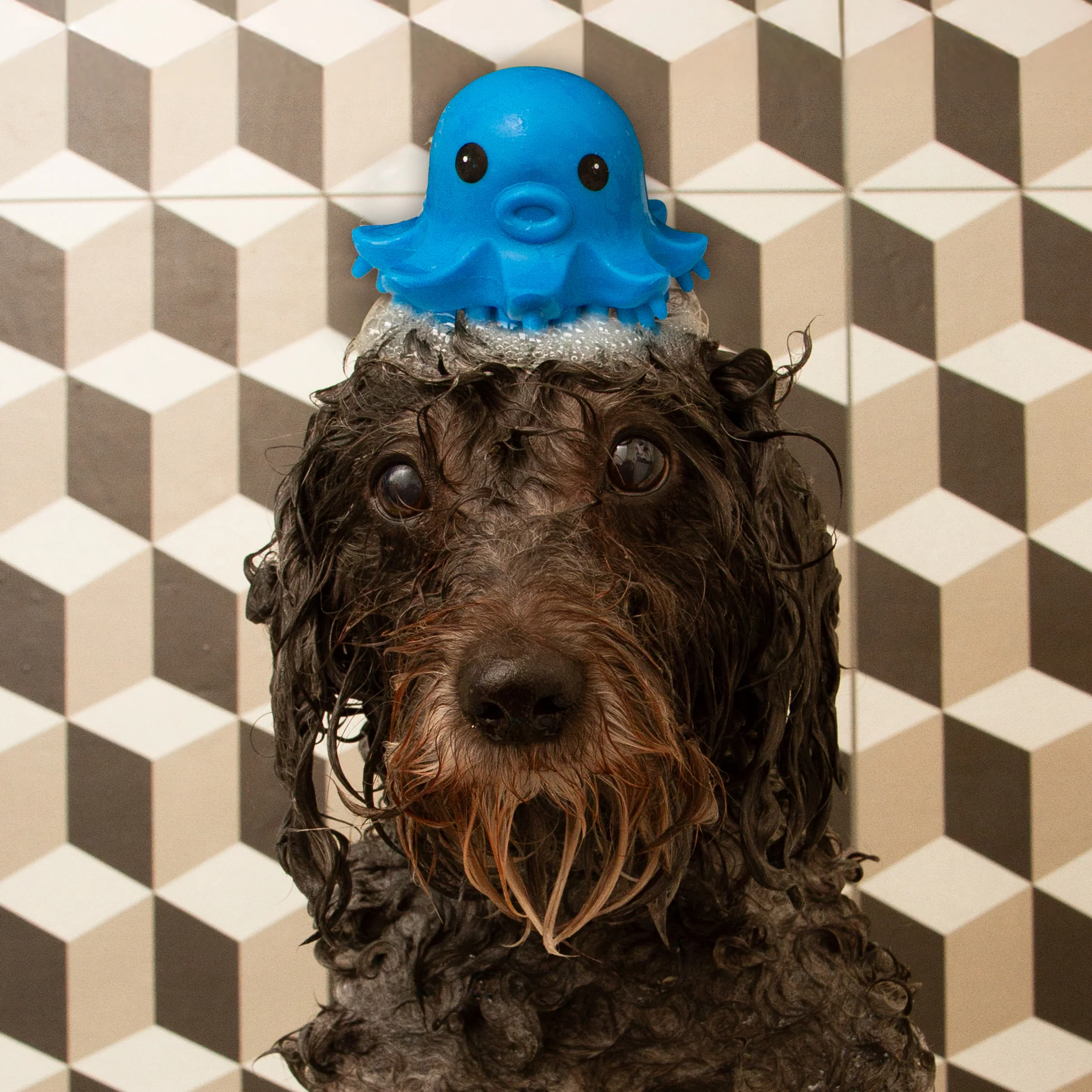 Octopus Grooming Brush - Image 3