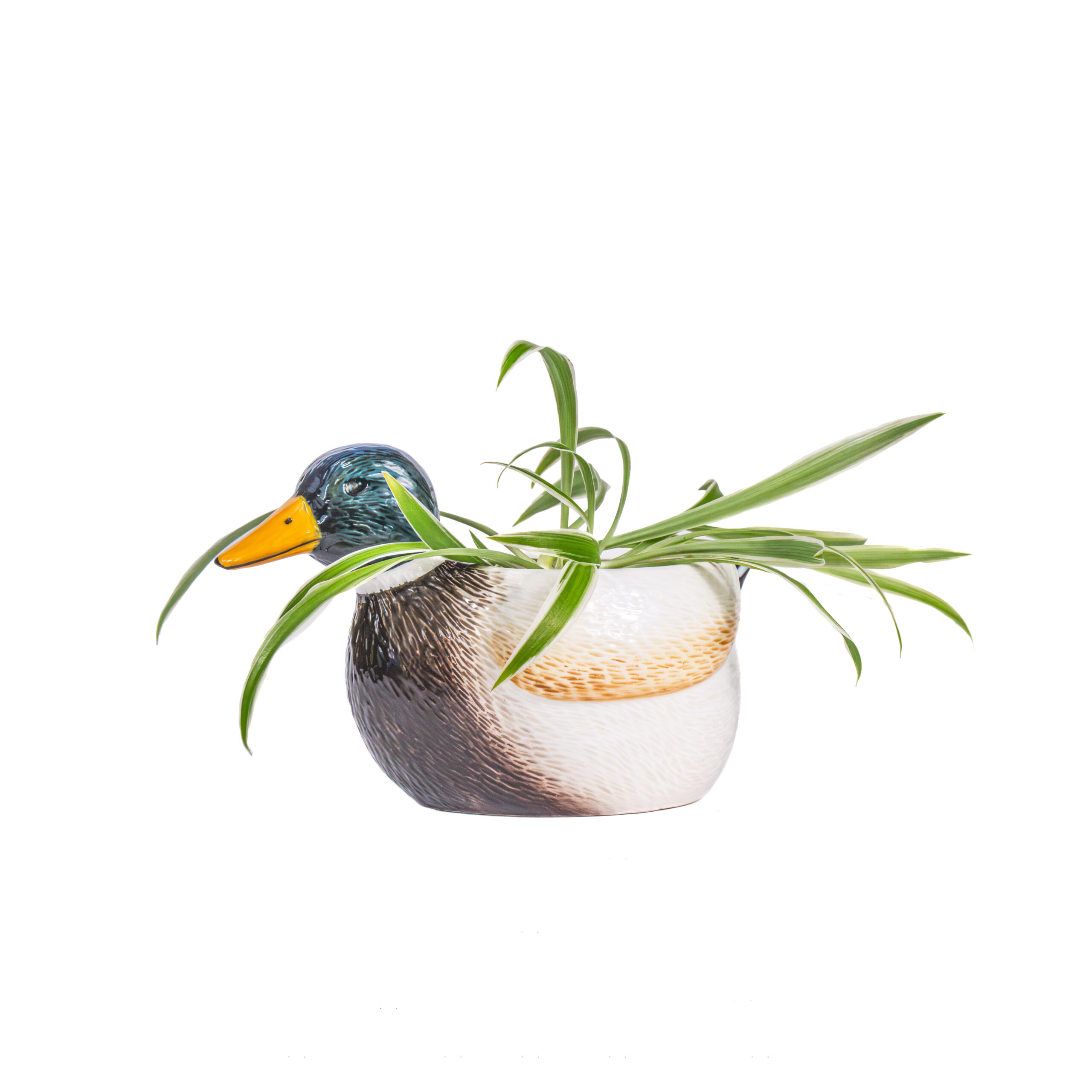 Mallard Duck Mini Planter - Image 2